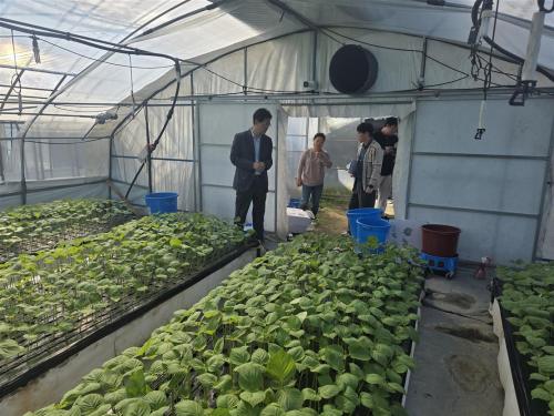 중부대학교 도농복합경제지원센터, 금산군 스마트팜 농가 대상 컨설팅 지원