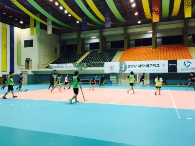 2017년 특수체육교육과 학과운동