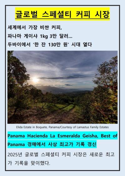 글로벌 스페셜티 커피시장 
