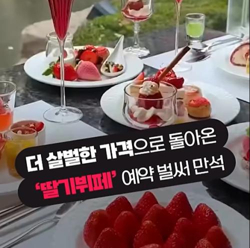 살벌한 가격에도 예약은 벌써 만석.. 1인 15만원 육박하는 호텔 딸기뷔페