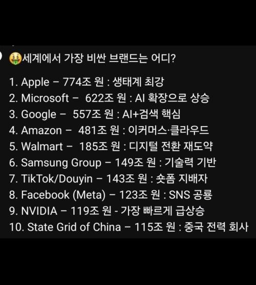 2025년 세계에서 가장 높게 평가 받는 기업 브랜드 와 하락 브랜드