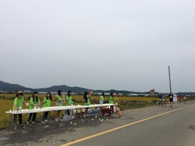 철원DMZ국제평화마라톤대회 봉사활동