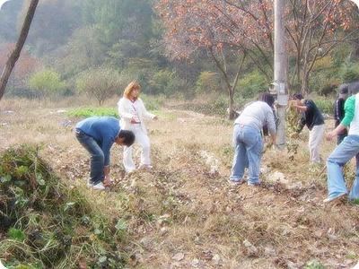 농사짓는거 같아;