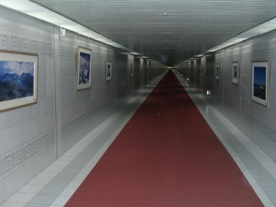 국회도서관에서...!!