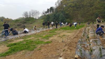 조경식재 현장실습