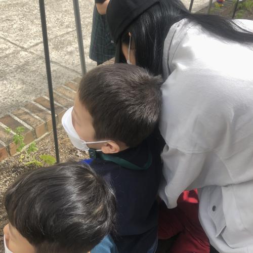 [대전광역시시립둥지어린이집] 2021년도 5월 NEST 생태텃밭 산학협력 교류활동