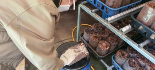 [밀알복지관] 2021년도 5월 버섯재배 봉사활동